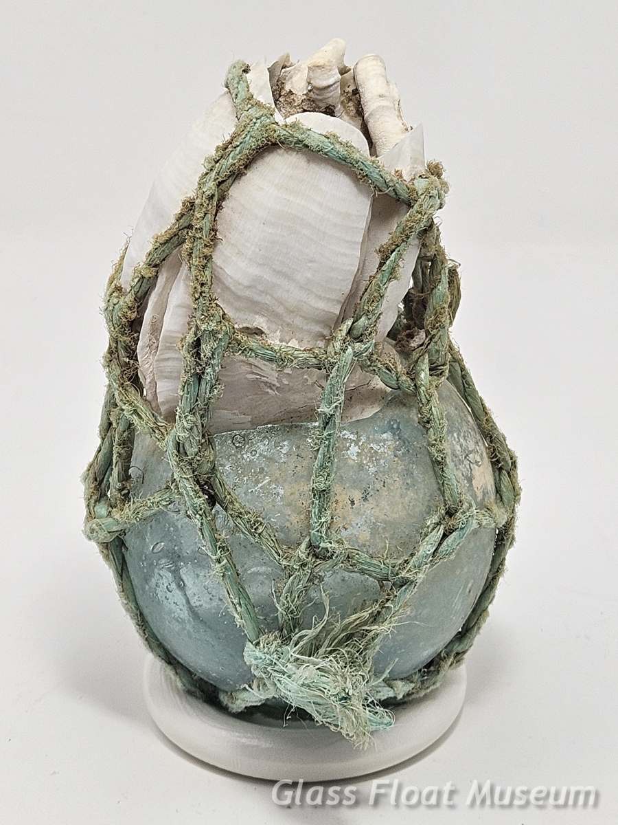 Barnacle Float, Tube Worms Inside, 3 Inch