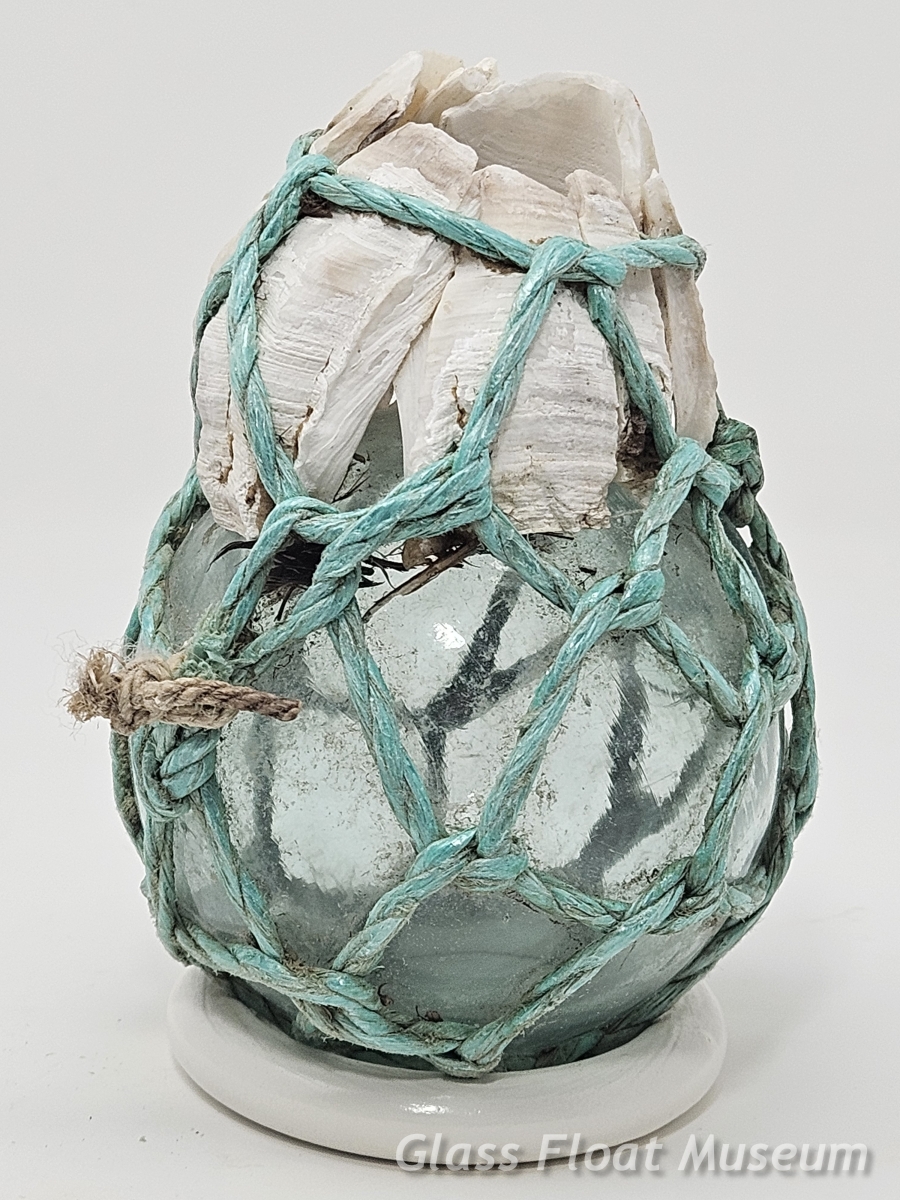 Barnacle Float, 3 Inch