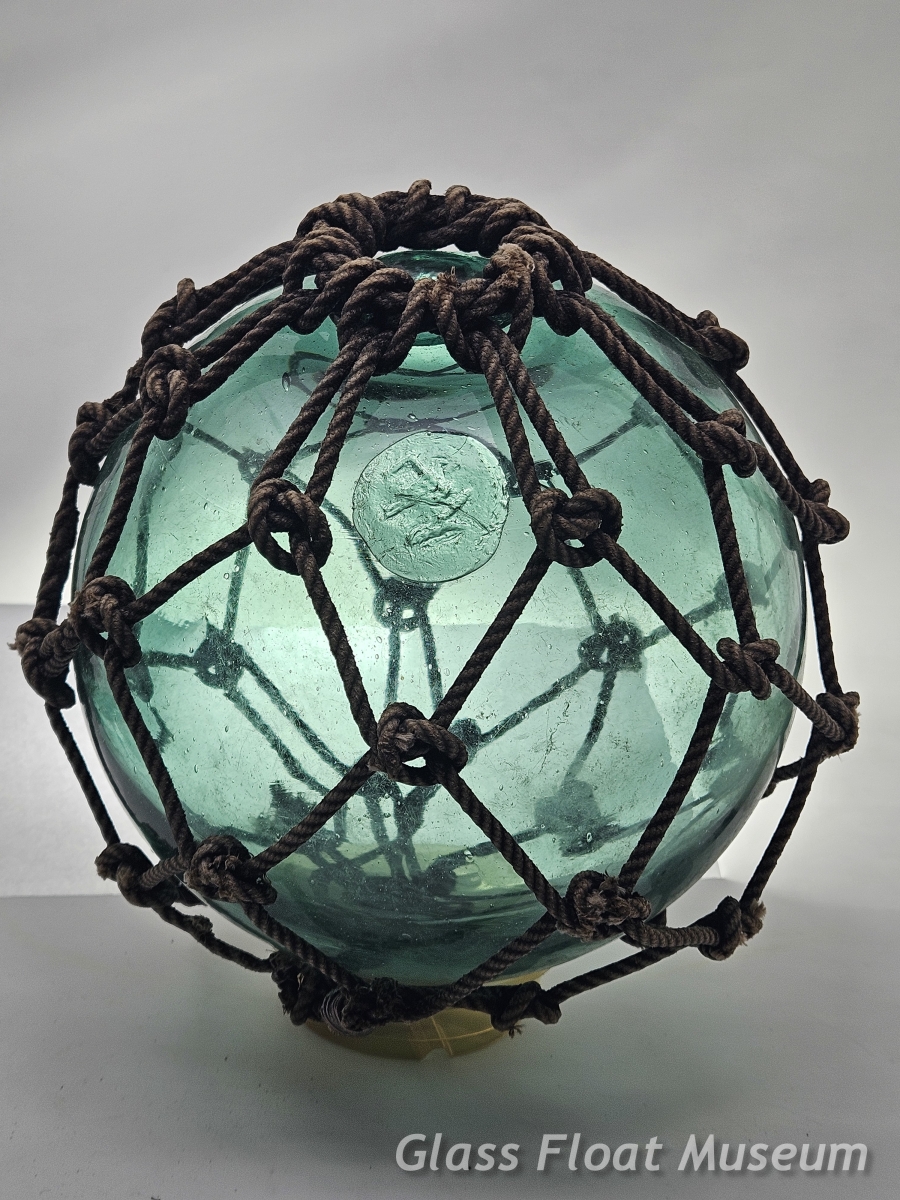 WP #5, 'Yama Sen' 仙, 8 Inch