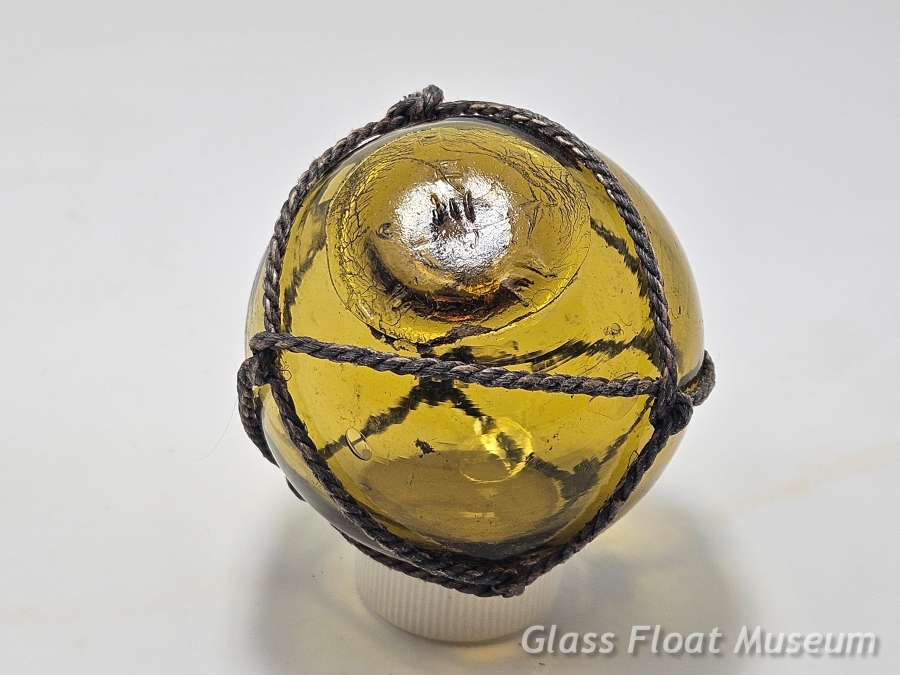 Amber Gold, WP #10, Kawaguchi, Netted, 2 1/2 Inch